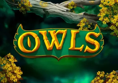 Owls